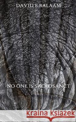 No One Is Sacrosanct David E. Balaam 9780993586446