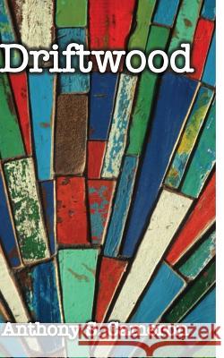 Driftwood Anthony S. Cameron 9780994178008 Anthony S Cameron