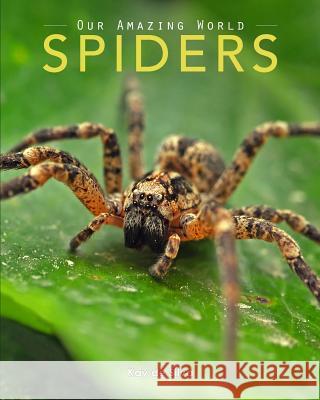 Spiders: Amazing Pictures & Fun Facts on Animals in Nature Kay D 9780994600905 Aurora