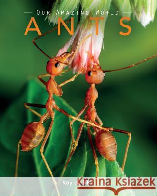 Ants: Amazing Pictures & Fun Facts on Animals in Nature Kay D 9780994600943 Aurora