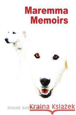 Maremma Memoirs Shane Shepherd 9780994642202