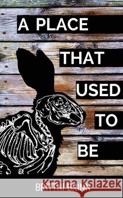 A Place That Used to Be Brittni Brinn 9780994980373 Adventure Worlds Press