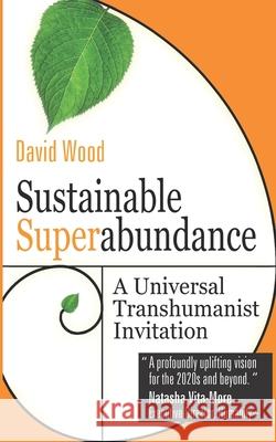 Sustainable Superabundance: A Universal Transhumanist Invitation David Wood 9780995494237