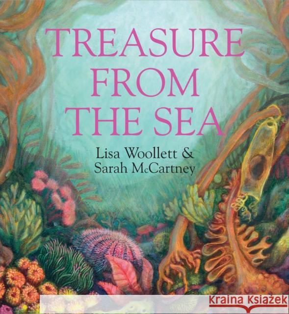 Treasure from the Sea Lisa Wollett 9780995502840 Mabecron Books Ltd