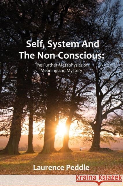 Self, System and the Non-Conscious: The Further Metaphysics of Meaning and Mystery Laurence Peddle 9780995531710