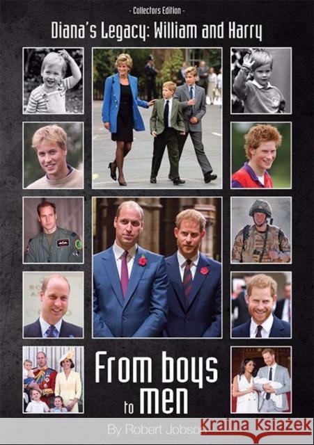 DIANA'S LEGACY: WILLIAM AND HARRY ROBERT JOBSON 9780995563070 MPRESS MEDIA