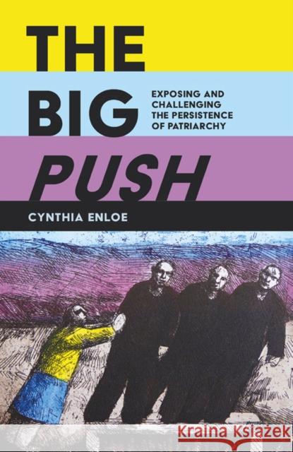 The Big Push: Exposing and Challenging the Persistence of Patriarchy Enloe, Cynthia 9780995590007