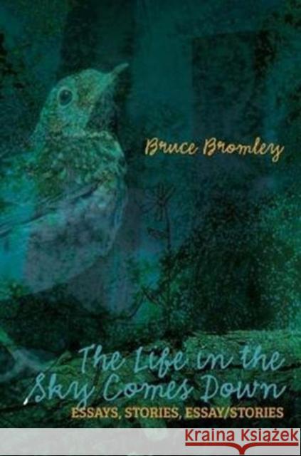 The Life in the Sky Comes Down: Essays, Stories, Essay/Story Bromley, Bruce D. 9780995599994 Backlash Press