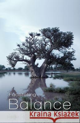 Facilitating Balance: Practical Steps Towards Wellbeing Mudassar Hussain   9780995680227 Biddles Books