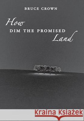 How Dim the Promised Land Bruce Crown 9780995849242