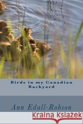 Birds in My Canadian Backyard Ann Edall-Robson 9780995978768 1449511 Alberta Ltd.