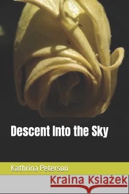 Descent Into the Sky Kathrina Kasha Peterson   9780996150965