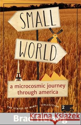 Small World: A Microcosmic Journey through America Herzog, Brad 9780996242233 Why Not Books