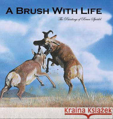 A Brush With Life: The Paintings of Bruce Speidel Speidel, Bruce 9780996348072 Painted Gate Publishing