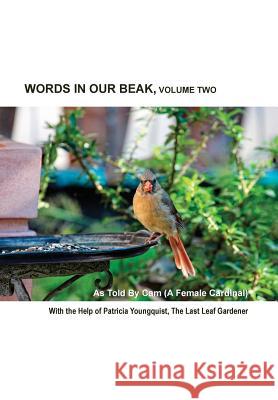 Words In Our Beak, Volume Two Youngquist, Patricia 9780996378536 Patricia Youngquist