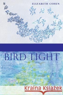 Bird Light Elizabeth Cohen Aliki Barnstone 9780996523196 Saint Julian Press, Inc.