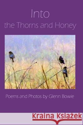Into the Thorns and Honey Glenn Bowie 9780996540544 Big Table Publishing Company