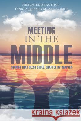 Meeting in the Middle: Stories That Bless Souls, Chapter By Chapter Oden, Vanessa 9780996672948 Shamay Speaks