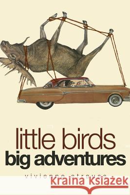 Little Birds Big Adventures: The Bird Collage Art of Vivienne Strauss Vivienne Strauss Trish Diggins 9780996720717