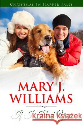 If I Had You Mary J. Williams 9780996814201 Brook Publications