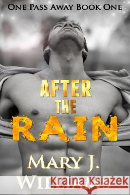 After the Rain Mary J. Williams 9780996814256 Brook Publications