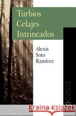 Turbios Celajes Intrincados Alexis Sot Jose Antonio Michelena Rafael Lag 9780997196009