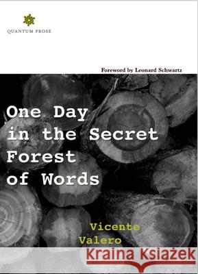 One Day in the Secret Forest of Words Vicente Valero 9780997301434