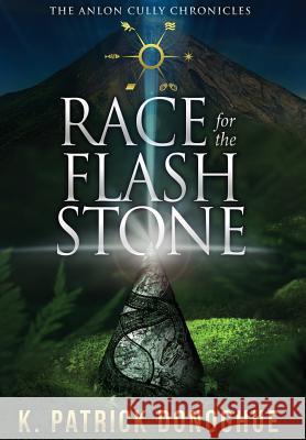 Race for the Flash Stone K. Patrick Donoghue 9780997316445 Leaping Leopard Enterprises, LLC