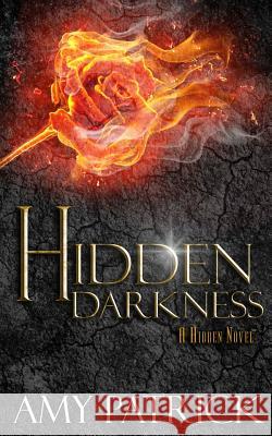 Hidden Darkness, Book 4 of the Hidden Saga Amy Patrick 9780997381009 Oxford South Press