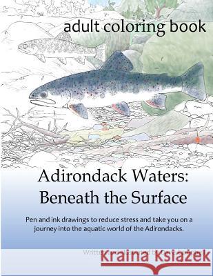 Adirondack Waters: Beneath the Surface Dave Campbell Dave Campbell 9780997439311 Dave Campbell