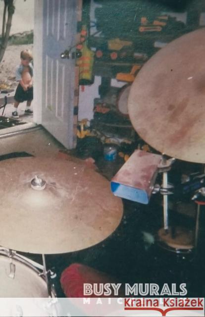 Busy Murals Maiche Lev 9780997575743 Hdw Publications