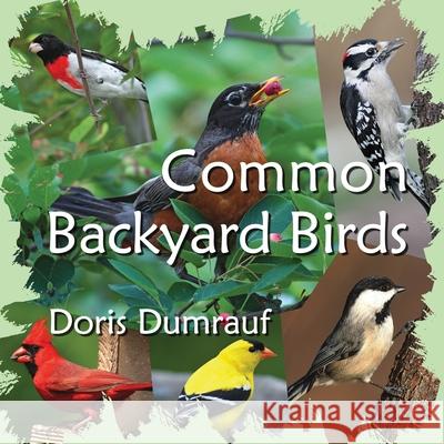 Common Backyard Birds Doris Dumrauf 9780997676716 Raccoon Creek Press