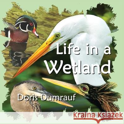 Life In A Wetland Doris Dumrauf 9780997676723 Raccoon Creek Press