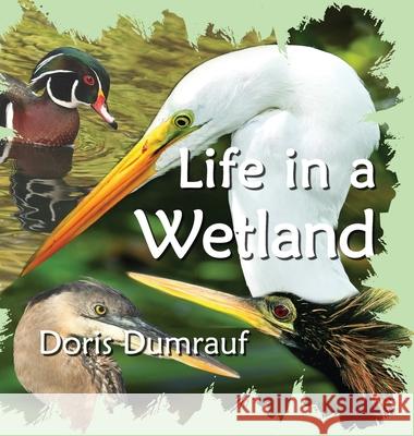 Life In A Wetland Doris Dumrauf 9780997676747 Raccoon Creek Press