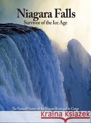 Niagara Falls: Survivor of the Ice Age: The Natural History of the Niagara River and its Gorge Young, Paul a. 9780997799675 Rock / Paper / Safety Scissors