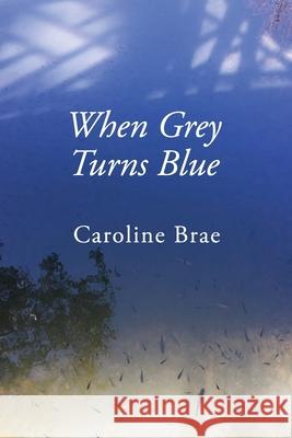 When Grey Turns Blue Daniel Brown Caroline Brae 9780997830040 Caroline Brae