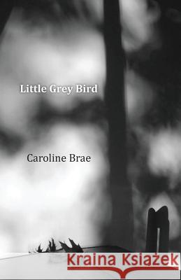 Little Grey Bird Caroline Brae 9780997830057 Caroline Brae