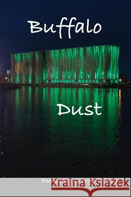 Buffalo Dust George T. Hole 9780997874112 Buffalo Arts Publishing
