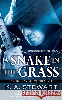 A Snake in the Grass K. A. Stewart 9780997950410 Pirate Ninja Press