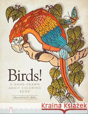 Birds!: A Hand-Drawn Adult Coloring Book Painted Harbor Press                     R. J. Ridley 9780997980509 Painted Harbor Press