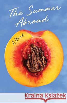 The Summer Abroad Ivan Brave 9780998036410