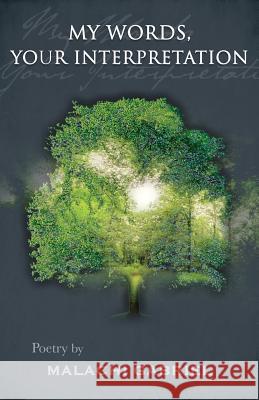 My Words, Your Interpretation Malachi Gabriel 9780998162140