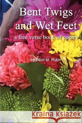 Bent Twigs and Wet Feet: a free verse book of poetry Elliot M. Rubin 9780998179681