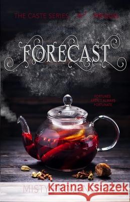 Forecast Misty Provencher 9780998211077 Corner Stone Publishing