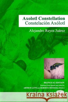 Axolotl Constellation Alejandro Reye Silvia Carbaja Balam Rodrigo 9780998235530