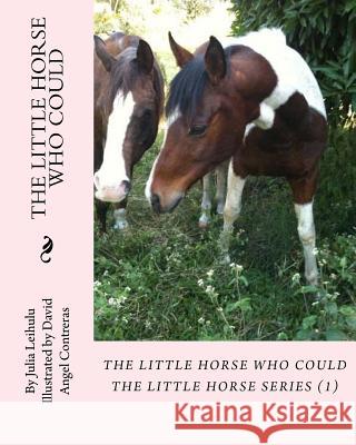 The Little Horse Who Could: The Little Horse Series (1) Julia Leihulu David Angel Contreras 9780998360607