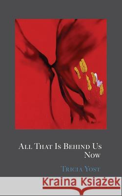 All That Is Behind Us Now Tricia Yost 9780998414652 Radial Books, LLC