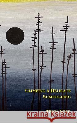 Climbing a Delicate Scaffolding Tricia Yost 9780998414683 Radial Books, LLC