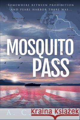 Mosquito Pass A. C. Foster 9780998734880 One's & Zero's
