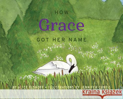 How Grace Got Her Name Alice Elshoff Jennifer Curtis 9780998763934 Moonglade Press